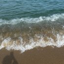 현진수산 | [동해 묵호 여행] #2일차 | 한섬해수욕장 제대로 즐기기 (나모 브런치, 한섬해수욕장, 배달 회 맛집)