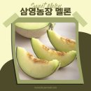 삼영 농장 이미지