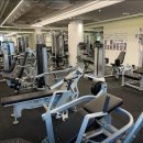 스타휘트니스 246 이미지