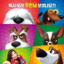 마이펫 이미지