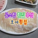 진서보건지소 | 내돈내산 장모님 추천 곰소항 호야횟집 +주차 가능