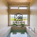 스테이고도 이미지