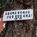 신북초등학교 이미지