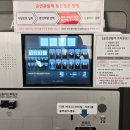 연극 : 벚꽃동산 기본정보, 첫공 후기, 줄거리, 대량의 스포