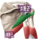기통테라피 네이버블로그