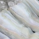 바다장어구이 - 밀양시 예림1길 12-6 | 바다장어구이