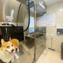 슈슈댕 구래점 이미지