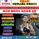 써밋복싱 이미지