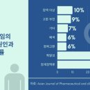 파이진윤