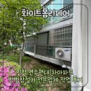 사이동 현대1차아파트 | 인천 연수현대1차아파트 방범창철거 전문업체 작업 후기