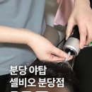 조선대학교 의학전문대학원 | 야탑역 분당 두피관리 셀비오, 이어테라피로 힐링한 분당 탈모관리 솔직 후기