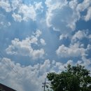 부영공원(월산근린공원) | 남양주화도 월산카페 떼오스커피로스터스 신상카페 부영월산카페 월산근린공원