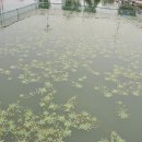 못말낚시터 이미지