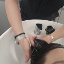 선헤어크리닉 이미지