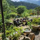 대한꽃농원 이미지