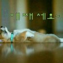누 이미지