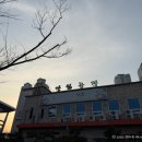 옥이네 한우농장 이미지