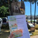 애니몰하우스 | 안성팜랜드 썸머스파클링 축제