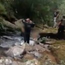 채부자농장 머니투데이