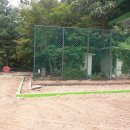 동막골 족구장 이미지