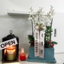 용인대학교 경영대학원 이미지