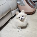 워니시티 이미지