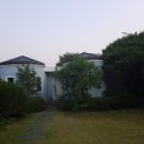 파파 모터스 이미지