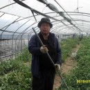 김봉호 농장 Daum카페