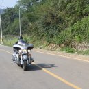 현지네 민박 이미지