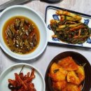 감나무 민박 이미지