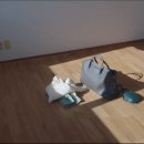 선아민박 이미지