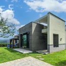 힐링위드독 이미지