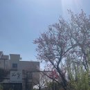 커피숍 해밀 이미지