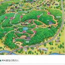 죽녹원 티스토리