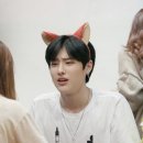 여우단 Daum카페