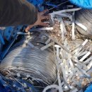 대운환경자원 이미지