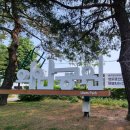 황금비늘 테마거리 이미지