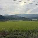 야생화마을펜션민박 이미지