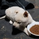 용소골농장 네이버블로그