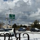 (주)강경렌트카 | 20260226 사랑이가 우리에게 온날