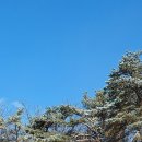 마당바위로 이미지