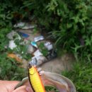 남방낚시터 이미지