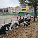 성의중학교 이미지