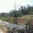 (주)송산(1종)