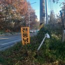 천동낚시 이미지