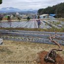 운심농장 이미지