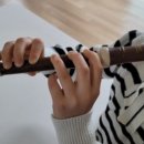 예쁜소리 리코더 | 초등학생 음악 준비물 추천! HDC영창 소프라노 저먼식 우드 리코더 YSRWG-140 후기