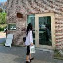 293 | 이천도자기마을 그릇 추천 너븐재, 그루도자기, 솔솔푸른솔, 세라믹몽 B급 세일 평일 오픈런 할인꿀팁