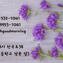 동해바구니