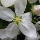 함양휴게소(하) 이미지